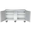 traulsen ult60lr undercounter freezer hinged doors door open